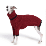 Cotton High Neck Knit Greyhound Clothes - Image 6