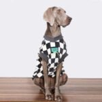 Checkered Fleece Vest - High-Warmth Pullover for Big Dogs & Fashionable Small Breeds - Image 2