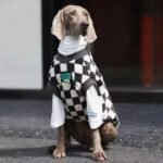 Checkered Fleece Vest - High-Warmth Pullover for Big Dogs & Fashionable Small Breeds