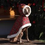 Reindeer Plaid Cape - Festive Christmas Coat with Hood for All Dog Sizes - Image 3