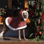 Reindeer Plaid Cape - Festive Christmas Coat with Hood for All Dog Sizes