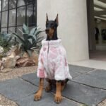 Luxurious Faux Mink Coat - Pink Thermal Jacket for Big Dogs (Doberman, Lab, Pitbull)