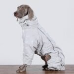 Puffy Silver Snow Suit - High-Collar Thermal Jumpsuit for Big Dogs