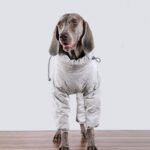 Puffy Silver Snow Suit - High-Collar Thermal Jumpsuit for Big Dogs - Image 6