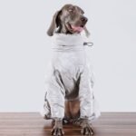 Puffy Silver Snow Suit - High-Collar Thermal Jumpsuit for Big Dogs - Image 3