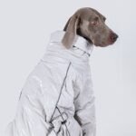Puffy Silver Snow Suit - High-Collar Thermal Jumpsuit for Big Dogs - Image 7