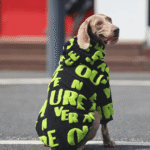 Graffiti Fleece Hoodie - Insulated Thermal Sweatshirt for Big Dogs & Cold Weather - Image 5
