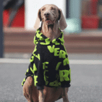 Graffiti Fleece Hoodie - Insulated Thermal Sweatshirt for Big Dogs & Cold Weather