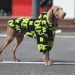 Graffiti Fleece Hoodie - Insulated Thermal Sweatshirt for Big Dogs & Cold Weather - Image 4