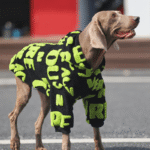 Graffiti Fleece Hoodie - Insulated Thermal Sweatshirt for Big Dogs & Cold Weather - Image 3