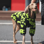 Graffiti Fleece Hoodie - Insulated Thermal Sweatshirt for Big Dogs & Cold Weather - Image 2