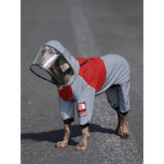 Four-Season Waterproof Jumpsuit - Athletic Rain Protection for Big Dogs & All Breeds - Image 4