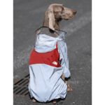 Four-Season Waterproof Jumpsuit - Athletic Rain Protection for Big Dogs & All Breeds - Image 5