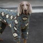 Geometric Print Fleece Jumpsuit - Four-Leg Thermal Pajamas for Big Dogs - Image 4