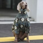 Geometric Print Fleece Jumpsuit - Four-Leg Thermal Pajamas for Big Dogs - Image 2