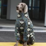 Geometric Print Fleece Jumpsuit - Four-Leg Thermal Pajamas for Big Dogs