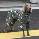 Geometric Print Fleece Jumpsuit - Four-Leg Thermal Pajamas for Big Dogs - Image 3