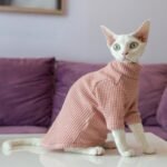 Waffle Knit Cat Shirt - Breathable Cotton High-Neck Pullover for Hairless Sphynx Cats - Image 2