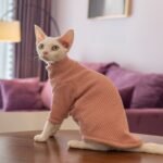 Waffle Knit Cat Shirt - Breathable Cotton High-Neck Pullover for Hairless Sphynx Cats - Image 5