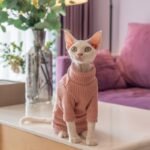 Waffle Knit Cat Shirt - Breathable Cotton High-Neck Pullover for Hairless Sphynx Cats - Image 4