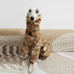 Cotton Snowsuits Camouflage Greyhound Clothes - Image 3