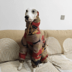 Cotton Snowsuits Camouflage Greyhound Clothes - Image 3