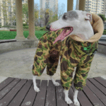 Cotton Snowsuits Camouflage Greyhound Clothes - Image 3