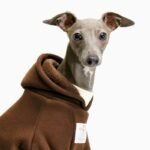 Fleece Color-block With hood Greyhound Clothes - Image 5