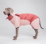 Full-Body Dog Snowsuit | Winter Coat with Back Zipper & High Collar, Padded Fleece-Lined Body Warmer - Image 9