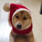 Knitwear Christmas Lightweight Fabric Knit Hat - Image 3