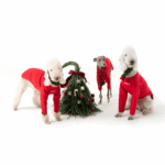 Holiday Knit Sweater - Festive Red Christmas & New Year Apparel for Small to Medium Dogs - Image 3
