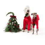Holiday Knit Sweater - Festive Red Christmas & New Year Apparel for Small to Medium Dogs - Image 2