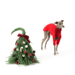 Holiday Knit Sweater - Festive Red Christmas & New Year Apparel for Small to Medium Dogs