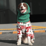 Holiday Fleece Jumpsuit - Festive Christmas Pajamas & Base Layer for All Dog Sizes - Image 8