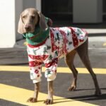 Holiday Fleece Jumpsuit - Festive Christmas Pajamas & Base Layer for All Dog Sizes - Image 5