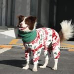 Holiday Fleece Jumpsuit - Festive Christmas Pajamas & Base Layer for All Dog Sizes - Image 7