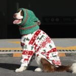 Holiday Fleece Jumpsuit - Festive Christmas Pajamas & Base Layer for All Dog Sizes - Image 3