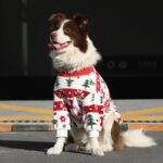 Holiday Fleece Jumpsuit - Festive Christmas Pajamas & Base Layer for All Dog Sizes - Image 2