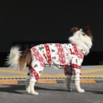 Holiday Fleece Jumpsuit - Festive Christmas Pajamas & Base Layer for All Dog Sizes - Image 6