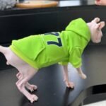 "1977" Cat Hoodie - Fleece-Lined Cotton Sweatshirt for Hairless Sphynx Devon Cats - Image 6