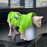 "1977" Cat Hoodie - Fleece-Lined Cotton Sweatshirt for Hairless Sphynx Devon Cats - Image 5