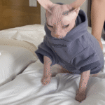 Sphynx Cat Hoodie - Fleece-Lined Cotton Winter Sweatshirt for Hairless Devon Cats - Image 3