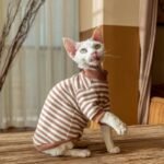 Striped Cat Turtleneck - Warm Cotton Base Layer Shirt for Hairless Sphynx Cats