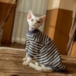 Striped Cat Turtleneck - Warm Cotton Base Layer Shirt for Hairless Sphynx Cats - Image 2