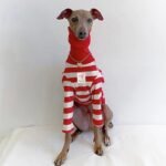 Red & White Striped Dog Sweater - High-Stretch Cotton Turtleneck for Italian Greyhounds - Image 2
