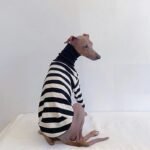 Red & White Striped Dog Sweater - High-Stretch Cotton Turtleneck for Italian Greyhounds - Image 6