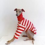 Red & White Striped Dog Sweater - High-Stretch Cotton Turtleneck for Italian Greyhounds