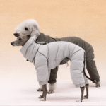 White duck down High Neck Four-legged jumpsuit Greyhound Clothes - Image 3