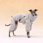 White duck down High Neck Four-legged jumpsuit Greyhound Clothes