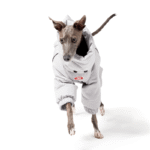 White duck down High Neck Four-legged jumpsuit Greyhound Clothes - Image 5